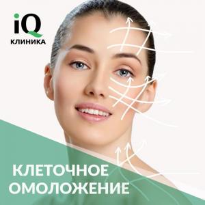 Фотография IQ клиника 5