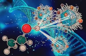 Фотография IN Lab Genetics 4