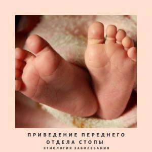 Фотография Ода 5